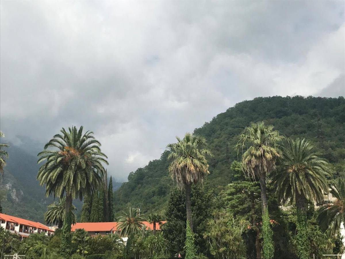 Фото Отели RIT Hotel Гагра 13